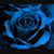 Stephanie Ham's profile image