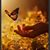 Marcia Gutenberg Snover's profile image