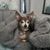 Jill Nyberg's profile image