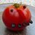 Kathrin Lancelle's profile image