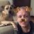 Kevin Warttig's profile image