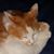 Kimberly Francis's profile image