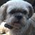 Dawn Budesheim Erisman's profile image