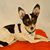 Kathe Fondaw Aydlotte's profile image