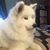 William Birkin's profile image