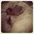 Iris L Sanchez's profile image