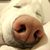 Margo Lowry's profile image