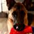 Brandon B. Jozsa's profile image