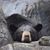 Shelley Hamill's profile image