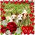 Cathy Zembower's profile image