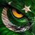 Shan Shan's profile image