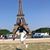 Ardes Yvonne's profile image