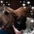 Alissa Frierson's profile image