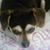 Sharon Peterson's profile image
