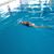 Mayra Rodriguez's profile image