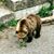 Nachiket Karmarkar's profile image