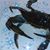 Michael Lloyd Hollimon's profile image