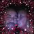 Tamara Meyers's profile image