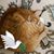 Maureen Cormier's profile image