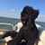 Bridget Haghnazari's profile image