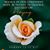 Joane Joseph's profile image