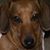 Dawne Mead's profile image