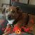 Dianna Leja's profile image