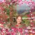 Lucia Orellana's profile image