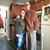 Amy Erisman's profile image