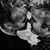 Nicolle Addington Walters's profile image
