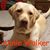 Terri Mack Hanson's profile image