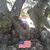 Margie Crawford's profile image