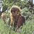Shana Johnson's profile image