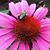 Nilaja Williams's profile image