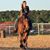 Gala Huddleston's profile image