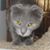 Minnie Mckibbin's profile image