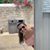 Marcia Rangel's profile image
