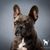 Mary Jarschke's profile image