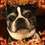 LaVonna Hauenstein Alford's profile image