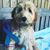 Sharon Wise's profile image