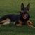 Lawrence P. Bates's profile image