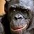 Rance Tyrone Vinson's profile image