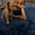 Diana Suastegui's profile image