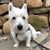 Christine Cazzola's profile image