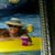 Cindy Coleman's profile image