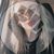 Erica Dickason's profile image