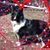 Marilyn Tirpak's profile image