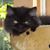 Elizabeth Strecker's profile image
