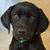 Bonnie Abeyta's profile image