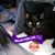 Mary Cullers's profile image